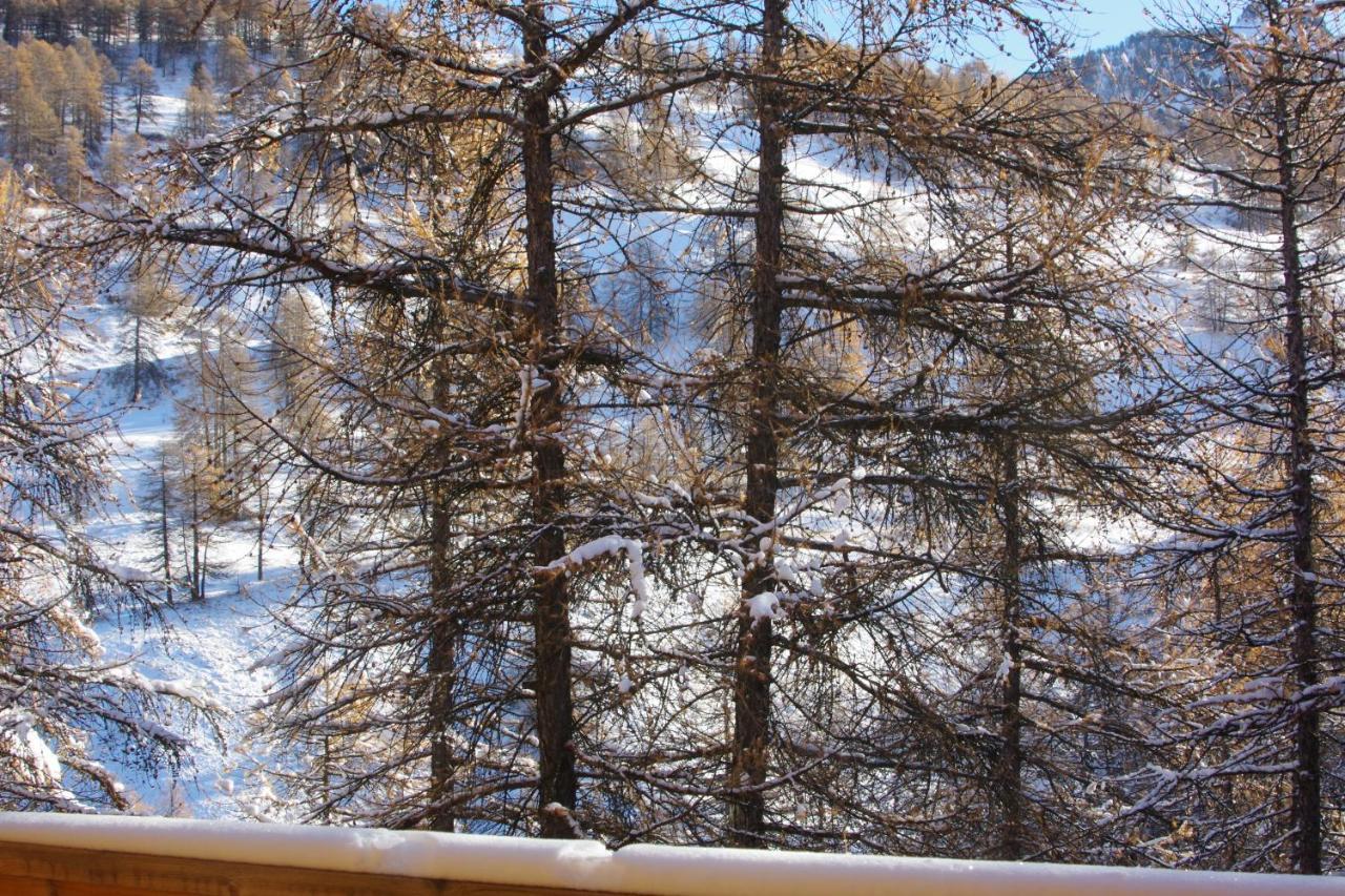 Spacieux Et Fonctionnel Dans Ecrin Des Neiges Vars  Exteriér fotografie